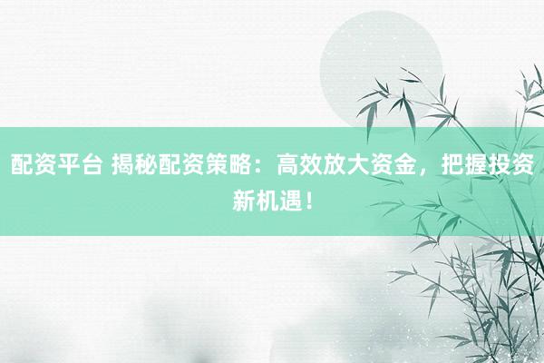 配资平台 揭秘配资策略：高效放大资金，把握投资新机遇！
