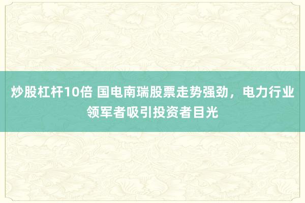 炒股杠杆10倍 国电南瑞股票走势强劲，电力行业领军者吸引投资者目光