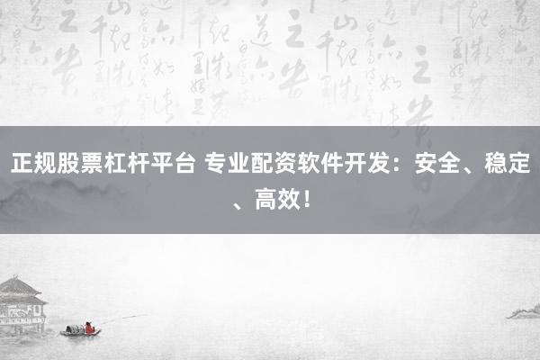 正规股票杠杆平台 专业配资软件开发：安全、稳定、高效！