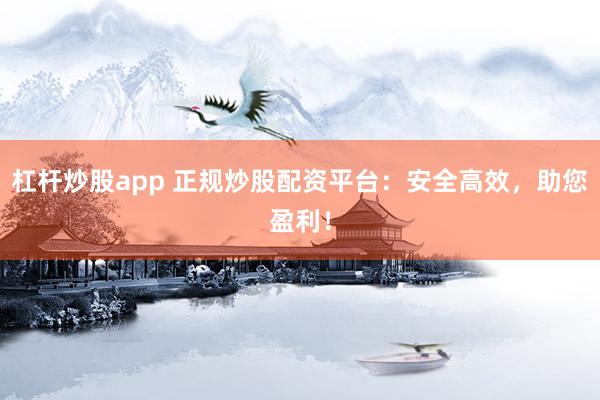 杠杆炒股app 正规炒股配资平台：安全高效，助您盈利！