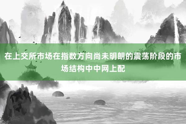 在上交所市场在指数方向尚未明朗的震荡阶段的市场结构中中网上配